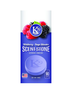 Ambientador de Piedra K29 Sterling Teal Berries Silvestres 4 Pzas 2