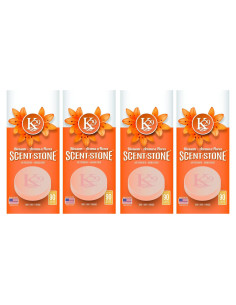 Ambientador de Piedra K29 Sterling Teal Floración - 4 Unidades