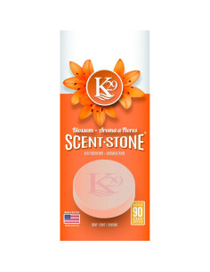 Ambientador de Piedra K29 Sterling Teal Floración - 4 Unidades 2