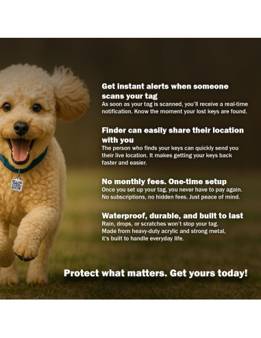 Etiqueta Digital NFC y QR Genérico Personalizable 2.54x0.51cm