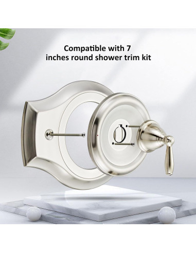 Placa de Cubierta de Ducha Tearel Níquel Cepillado 35.56x25.4cm