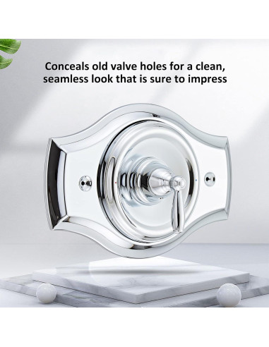 Placa de Cubierta de Ducha Tearel Cromo para 1 Manija