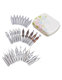 30 Puntas de Pluma de Acero Inoxidable SIPLIV con Caja