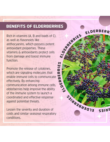 Gomitas Orgánicas para Alergias Seattle Elderberry 198g