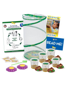 Kit de Mariposas Insect Lore - Pabellón Jardín 25 Orugas