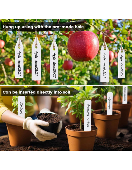 Etiquetas para Plantas NbutWynee 100 Pcs 7.62 cm Blancas