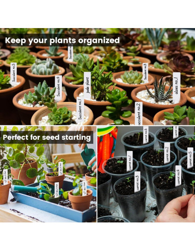 Etiquetas para Plantas NbutWynee 100 Pcs 7.62 cm Blancas