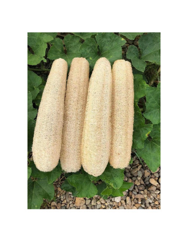 Esponjas de Lufa Natural Orgánica Exfoliantes 4 Piezas