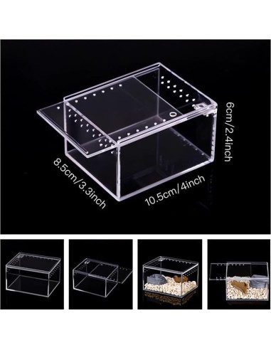 Caja de cría de insectos AWXZOM 10x8.5x6cm Acrílico Transparente