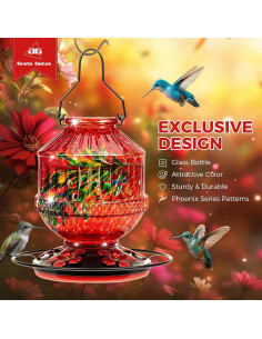 Alimentador de Colibríes de Vidrio Grete Gotye 709 ml Rojo 2