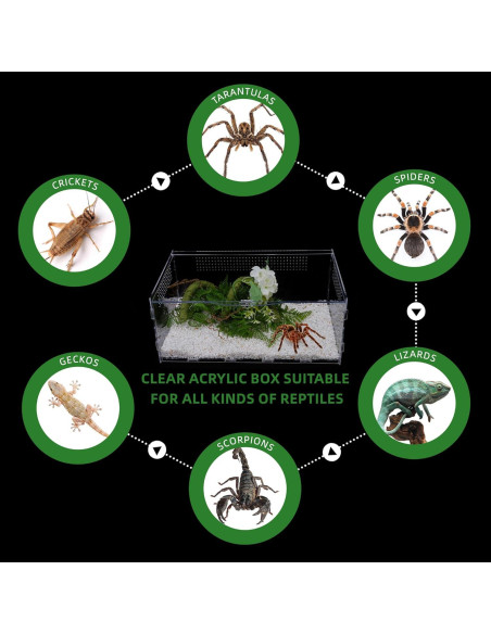 Terrario Acrílico UCandy 15.24x20.32x35.56 cm para Reptiles