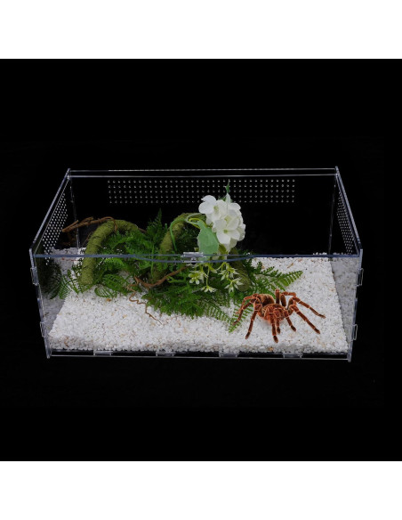 Terrario Acrílico UCandy 15.24x20.32x35.56 cm para Reptiles