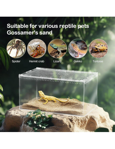 Terrario para reptiles Clioran 20x15x10 cm con tapa deslizante
