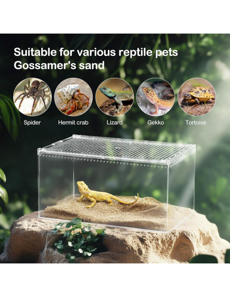 Terrario para reptiles Clioran 20x15x10 cm con tapa deslizante