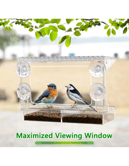 Comedero para Aves Gbekery de Ventana Acrílico con Bandeja