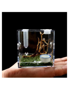 Terrario Acrílico para Arañas y Reptiles 6.86cm - 100g