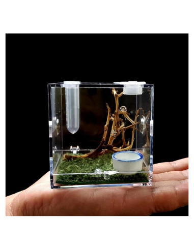Terrario Acrílico para Arañas y Reptiles 6.86cm - 100g