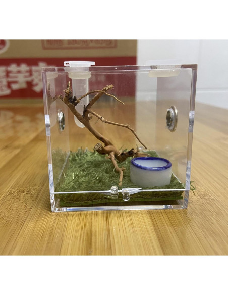 Terrario Acrílico para Arañas y Reptiles 6.86cm - 100g Terrario Acrílico para Arañas y Reptiles 6.86cm - 100g