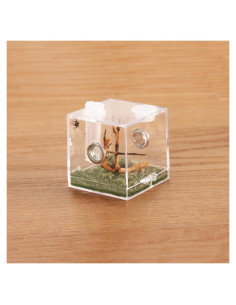 Caja de Cría de Insectos Acrílica Crapelles 5.08x5.08cm