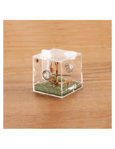 Caja de Cría de Insectos Acrílica Crapelles 5.08x5.08cm