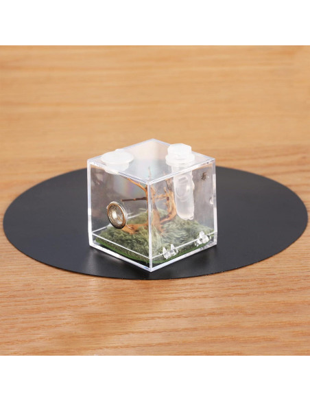 Caja de Cría de Insectos Acrílica Crapelles 5.08x5.08cm Caja de Cría de Insectos Acrílica Crapelles 5.08x5.08cm