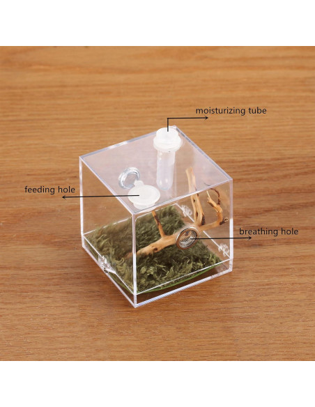 Caja de Cría de Insectos Acrílica Crapelles 5.08x5.08cm Caja de Cría de Insectos Acrílica Crapelles 5.08x5.08cm