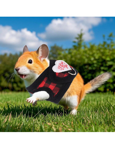 Conjunto Arnés y Correa Ajustable BOXOB para Animales Pequeños