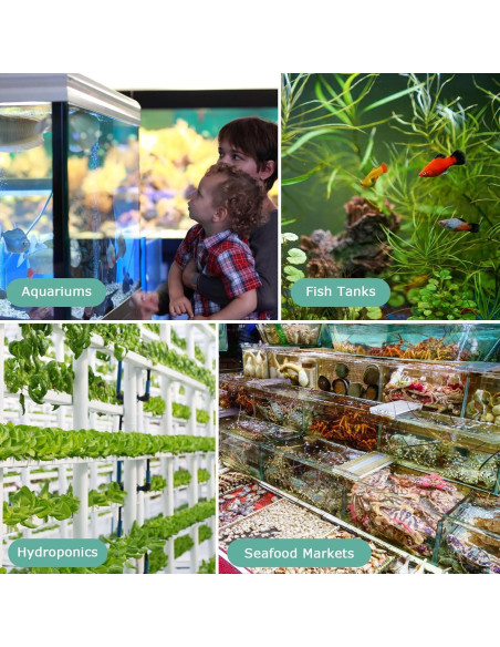 Piedra de Aire para Acuario Hygger, Difusor de Oxígeno 4.06 cm