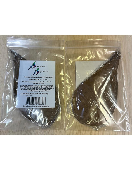 Hojas de Almendra India Catappa 10-15 cm 10 Pk para Acuarios