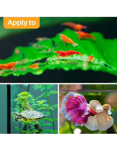 Hojas de Almendra India Sukh 30 Piezas para Acuarios Betta