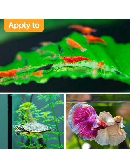 Hojas de Almendra India Sukh 30 Piezas para Acuarios Betta