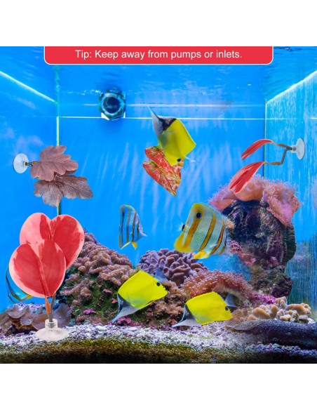 Juego de 4 Hamacas de Hoja para Betta Lyreh - Rojo