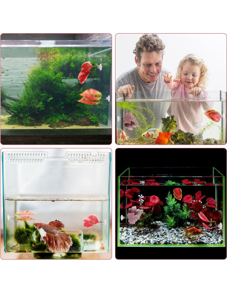 Juego de 4 Hamacas de Hoja para Betta Lyreh - Rojo