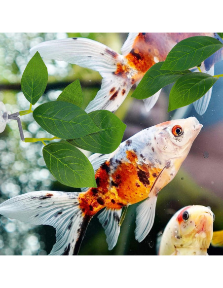 Paquete de 3 almohadillas de hoja Thinp para peces Betta