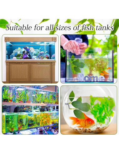 Paquete de 3 almohadillas de hoja Thinp para peces Betta