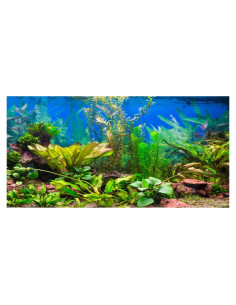 Fondo de Acuario Vinilo 60x30 cm AWERT - Decoración Natural