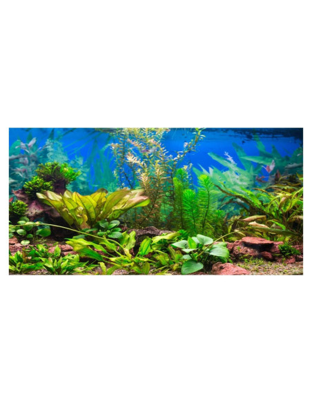 Fondo de Acuario Vinilo 60x30 cm AWERT - Decoración Natural