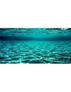 Fondo de Acuario YongFoto 121.9x45.7 cm Tela Poliester 2