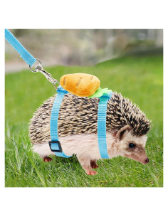 Arnés Ajustable para Erizos Dnoifne con Correa de Nylon 110 cm