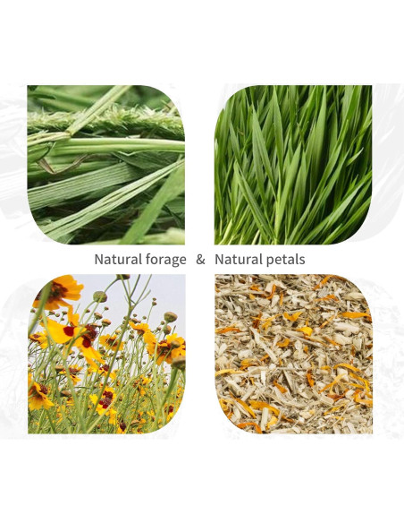 Túnel Componible para Hámster Niteangel - DIY, 21.69 cm