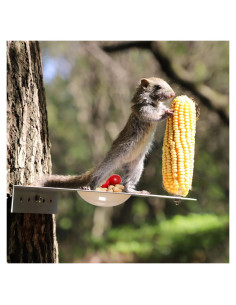 Comedero para Ardillas PFNRTH de Metal con Bandeja de Agua