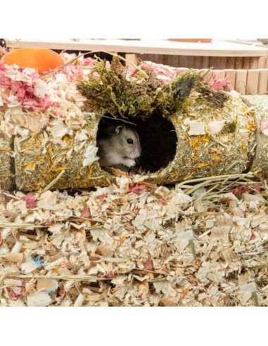 Túnel Componible para Hámster Niteangel - DIY, 21.69 cm