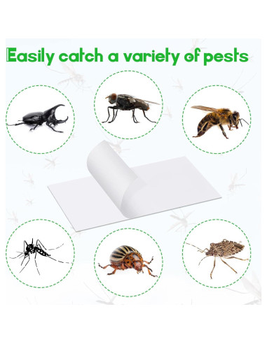 40 Tarjetas Adhesivas Kittmip para Trampas de Insectos 14.5x7.6cm