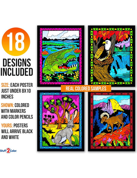 Super Pack 18 Pósters de Colorear Terciopelo Parques Nacionales