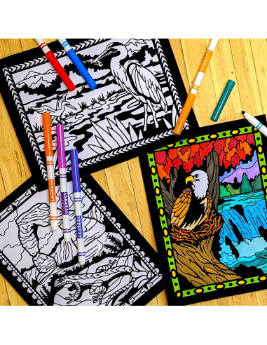 Super Pack 18 Pósters de Colorear Terciopelo Parques Nacionales