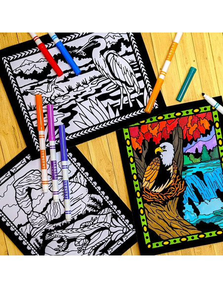 Super Pack 18 Pósters de Colorear Terciopelo Parques Nacionales