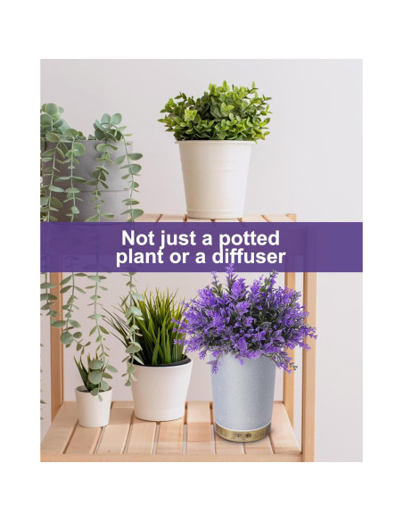 Difusor de Aceite Esencial TAOYANG 150ml Lavanda Gris