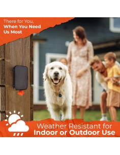 Dispensador de Bolsas de Excremento Pexter Negro - Montaje en Pared 2