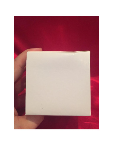 Adorno Hallmark Shrek y Gato con Botas 2006 90.7g