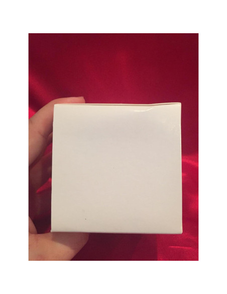 Adorno Hallmark Shrek y Gato con Botas 2006 90.7g